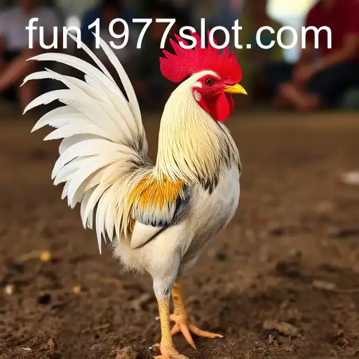 VIP Service FUN1977 - 24/7 Support and Exclusive Benefits